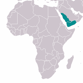 Adenium Arabicum - Адениум Арабикум